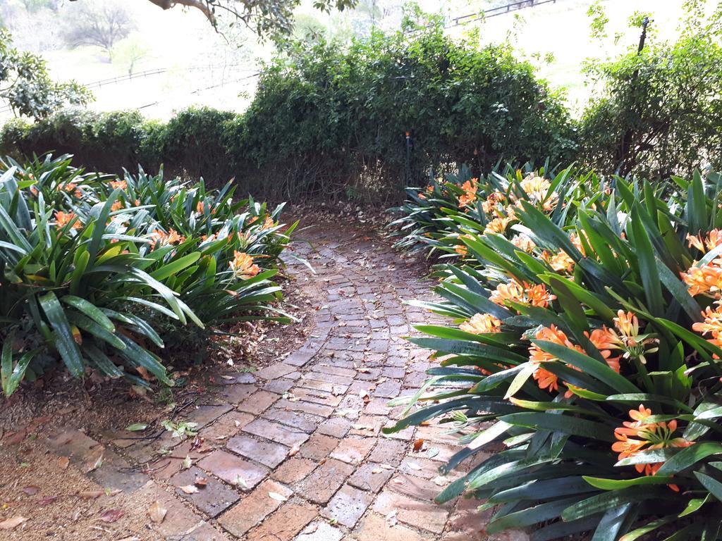 Plynlimmon-1860 Heritage Cottage Or Double Room With Orchard View Kurrajong Εξωτερικό φωτογραφία