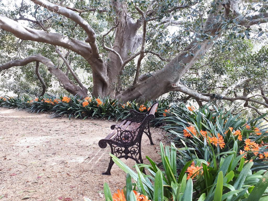 Plynlimmon-1860 Heritage Cottage Or Double Room With Orchard View Kurrajong Εξωτερικό φωτογραφία